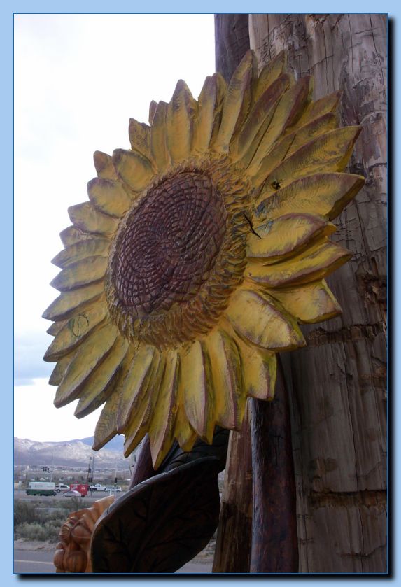 2-01 flowers-archive-0002